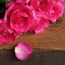 Velvet Rose Candle